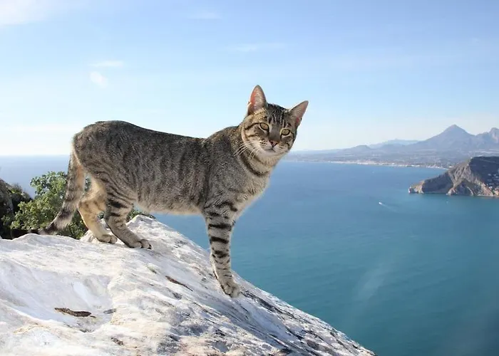 Andres - Plusholidays * カルプ